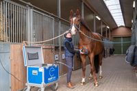 Equitron-pferde-pferd-heilen-dressurschule-van-damme-hennef